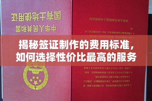 南川揭秘签证制作的费用标准，如何选择性价比最高的服务？