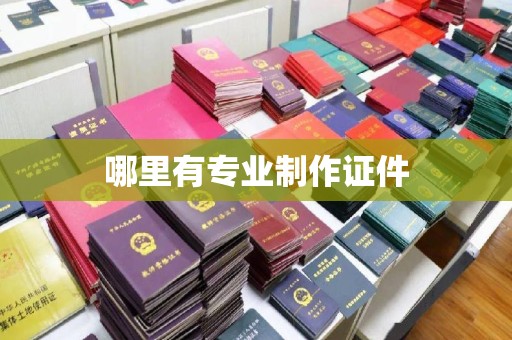 老边哪里有专业制作证件
